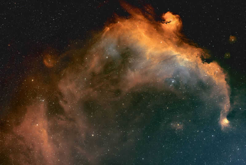 Seagull Nebula - IC 2117